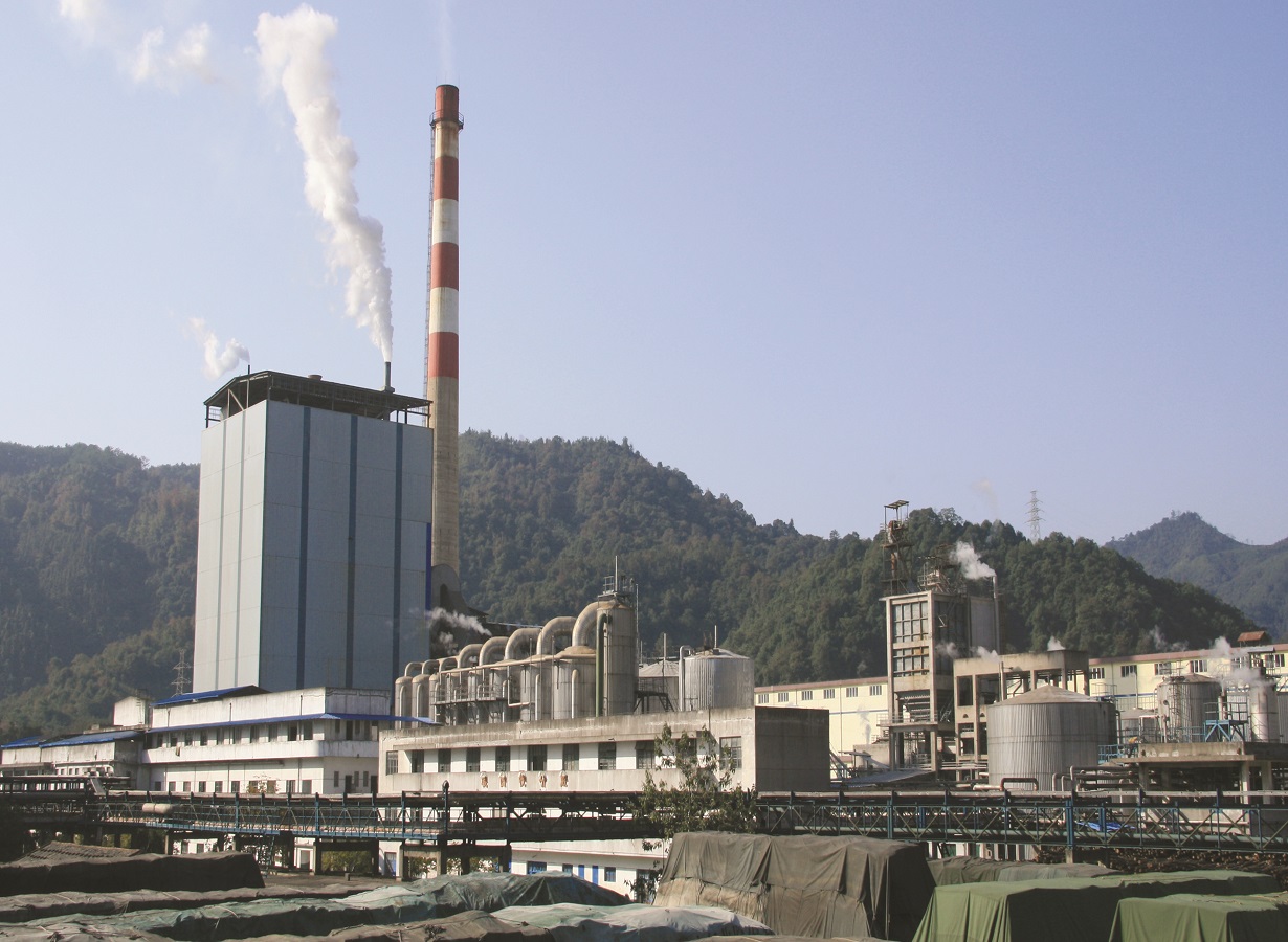 1青州造纸厂（省重点工程建设先进单元）.jpg